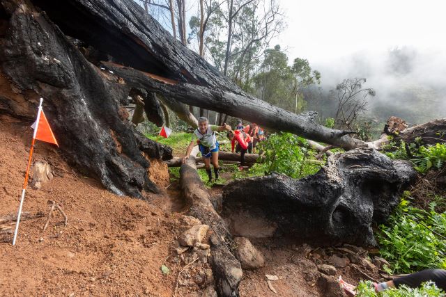 01 1 Entre Cortijos  2