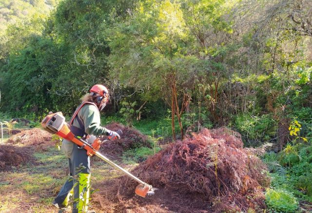 01 1 Una trabajadora realiza labores de desbroce