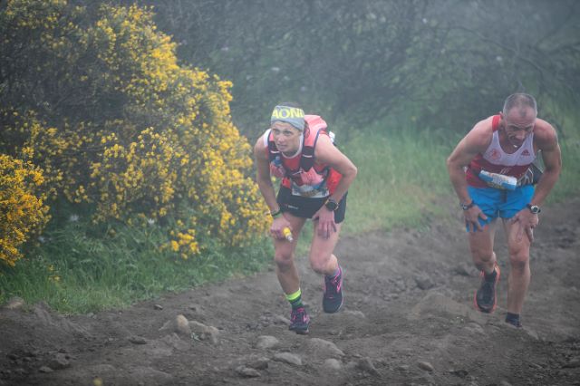 01 1 dominique-van-mechgelen