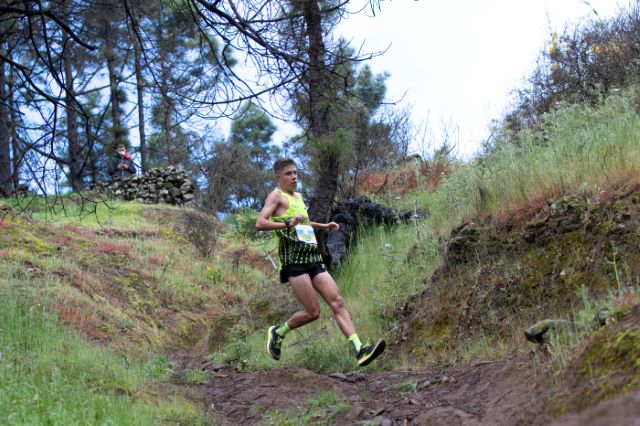 01 1 javier-fernacc81ndez