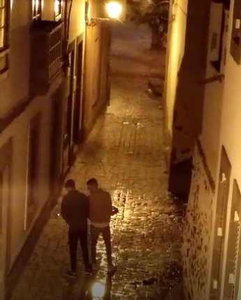 1 Captura