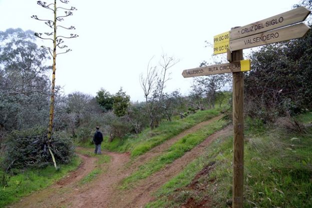 Valleseco: Primera Ruta de Senderismo para toda la familia