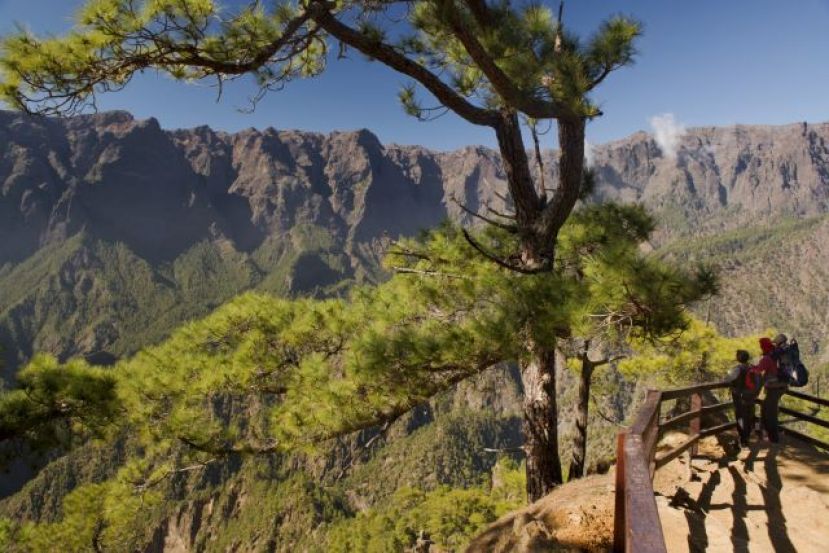 Canarias convoca las pruebas de 2021 para obtener el carné de guía de turismo y ampliar idiomas en los habilitados