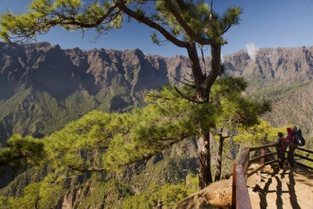 Canarias convoca las pruebas de 2021 para obtener el carné de guía de turismo y ampliar idiomas en los habilitados