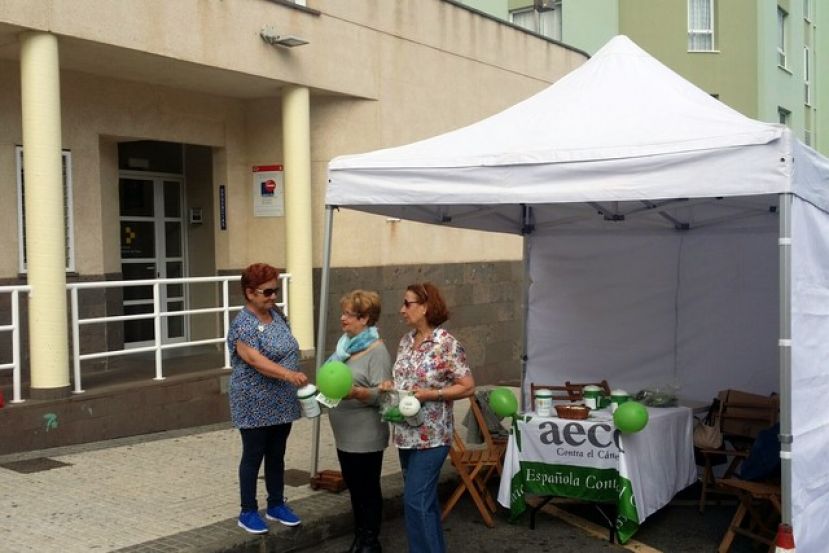 Gu&iacute;a: Campa&ntilde;a de cuestaci&oacute;n  de la Asociaci&oacute;n Espa&ntilde;ola Contra el C&aacute;ncer