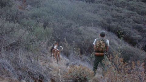 La Gomera: Se suspende la actividad de caza de este fin de semana por la alerta