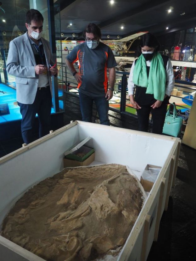 Entrega al Museo de las Ciencias de Las Palmas de GC un f&oacute;sil de Mosasaurus