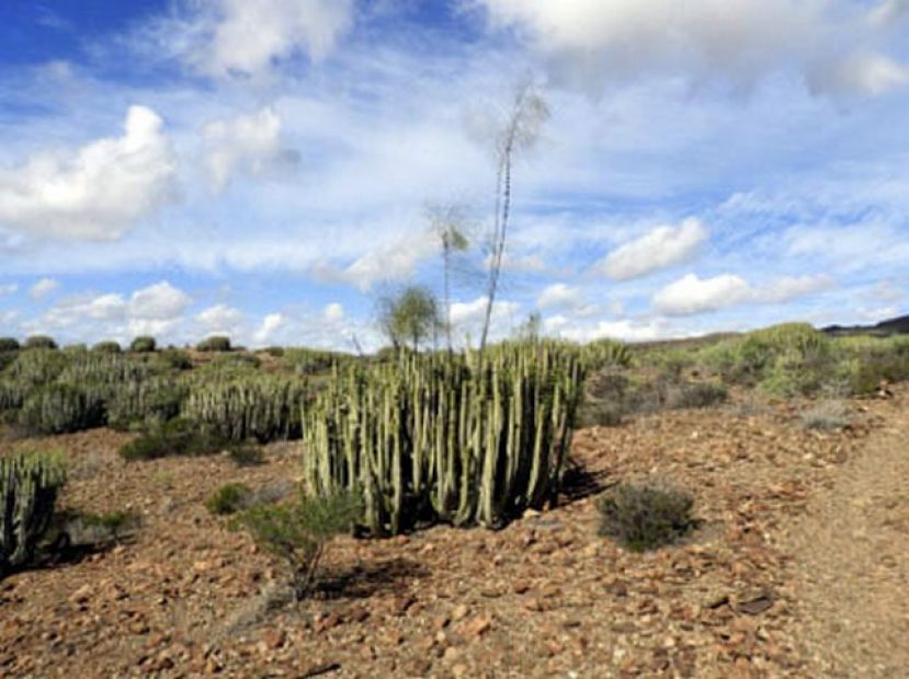Valleseco te organiza la &uacute;ltima ruta de senderismo del a&ntilde;o por Amurga