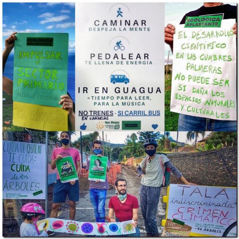 Se celebr&oacute; telem&aacute;ticamente el VIII Congreso Confederal de Ecologistas en Acci&oacute;n