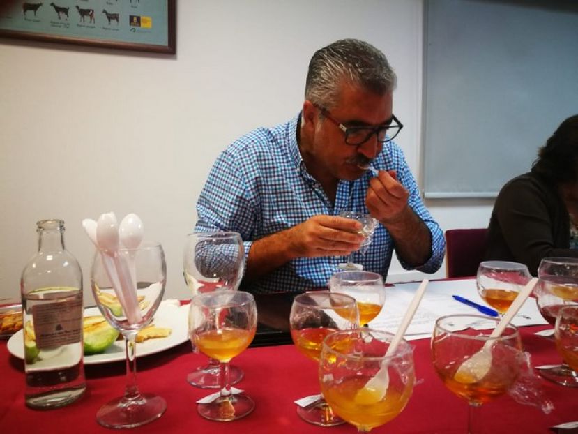 M&aacute;s de 40 apicultores en el premio del Concurso de Mieles de Gran Canaria