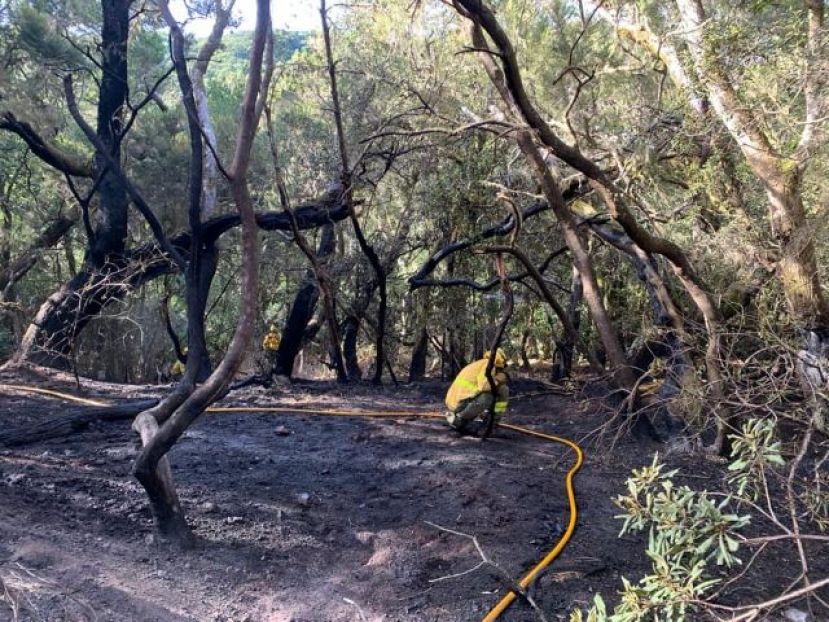 La Gomera: Se da por controlado el incendio de Las Creces