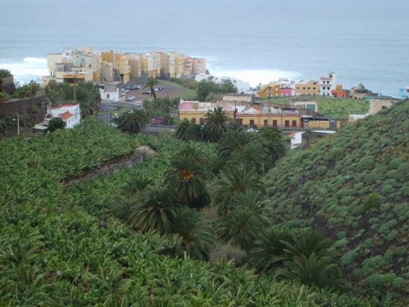 Ayuntamiento de Moya y Gobierno regional visitan la zona de El Pagador