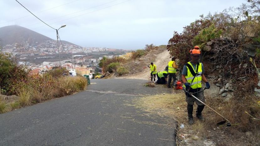 El Ayuntamiento de Guía inició este mes los trabajos del proyecto “Ruralia”