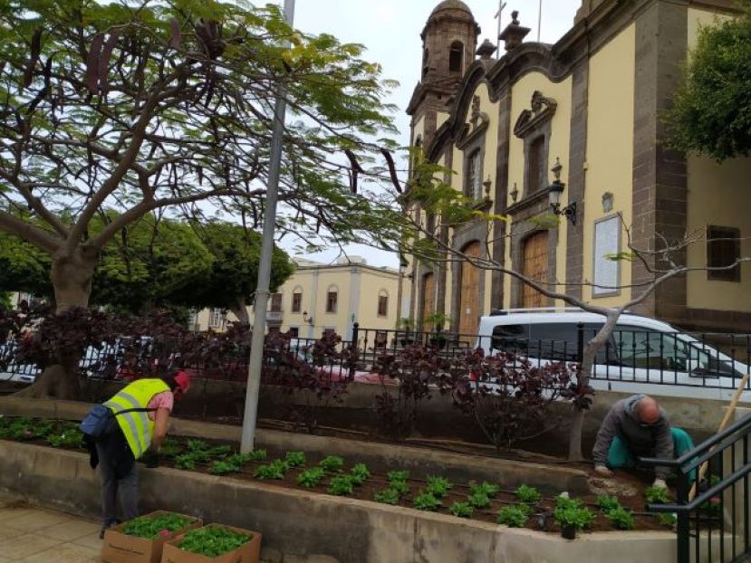 Guía: Plantación de más de 3.000 flores de temporada en jardines y espacios públicos