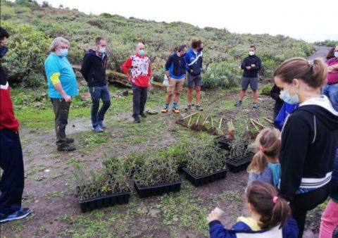 Arucas: Repoblación forestal de 200 árboles nuevos en Tiro Pichón