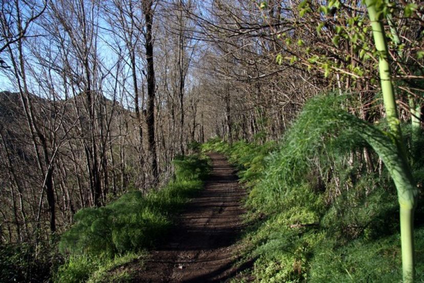 Valleseco te invita a recorrer en camino de las cumbres a las median&iacute;as