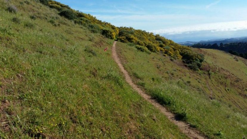 Guía: El próximo sábado será la 5ª Carrera Nocturna de Montaña Ciudad de Guía