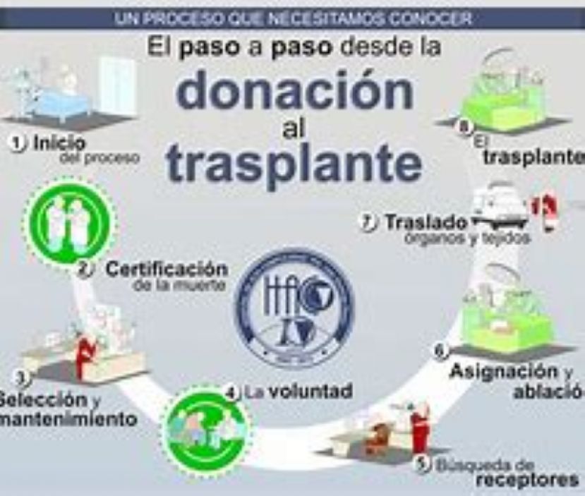 24 de Marzo, D&iacute;a Nacional del Trasplante, la importancia de la donaci&oacute;n de &oacute;rganos