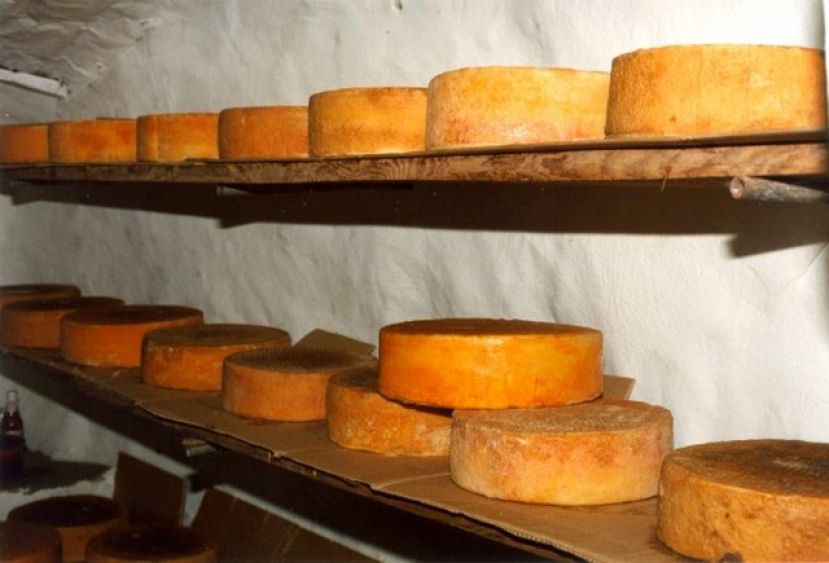 Plazo para participar en el Concurso Oficial de Quesos de Gran Canaria