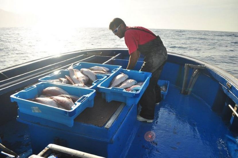 &Uacute;ltimos d&iacute;as para que las cofrad&iacute;as de GC soliciten la ayuda para renovables