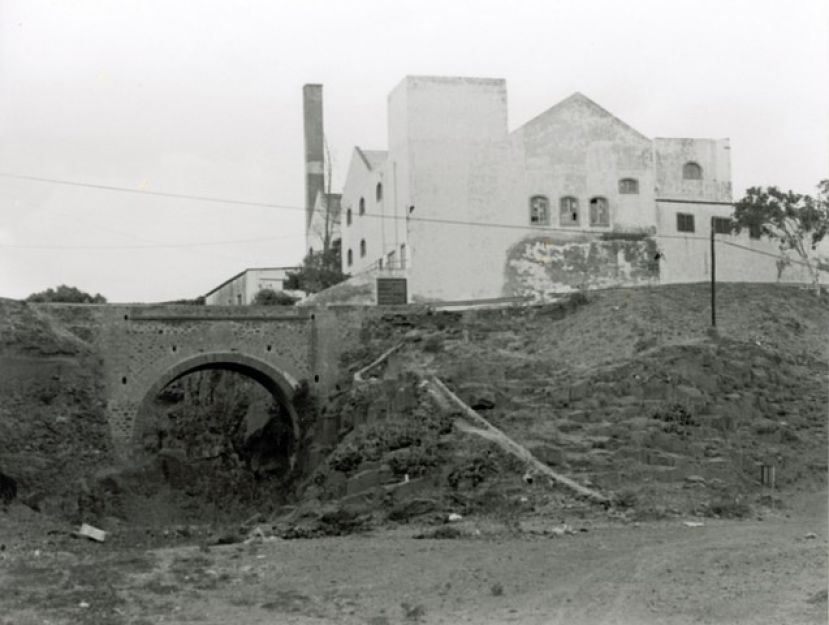 Presente de la cultura ligada a los ingenios azucareros y destilerías en Canarias