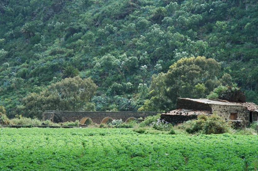 El Cabildo organiza tres visitas guiadas para descubrir el patrimonio hist&oacute;rico que guarda el Barranco Guiniguada