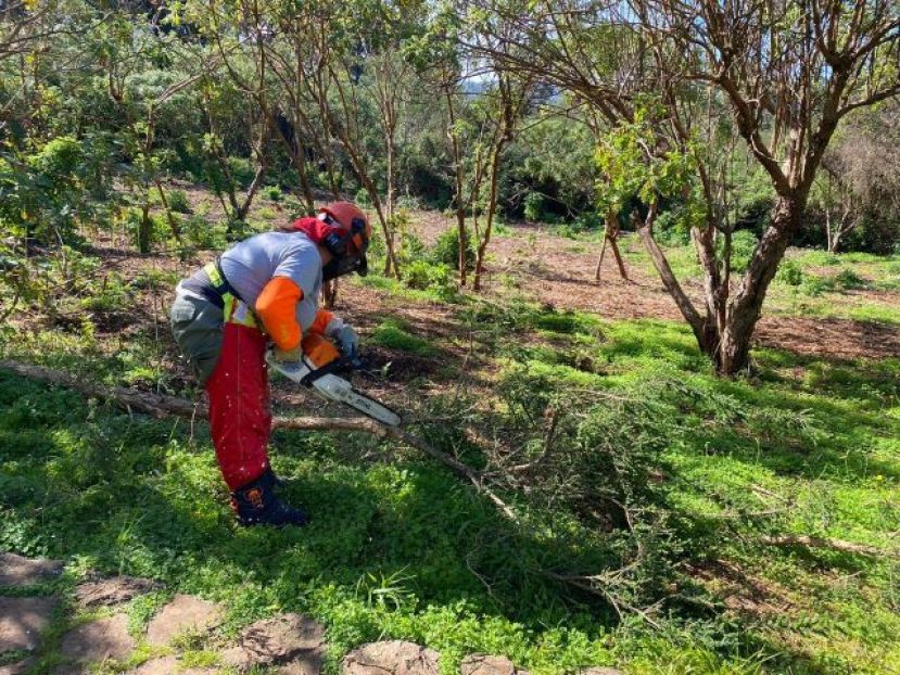 Foresta reivindica la presencia de la mujer en el sector forestal canario