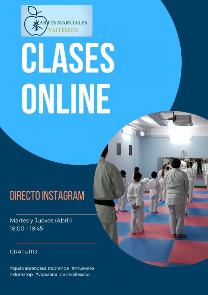Se pone en marcha las clases online de Artes Marciales de Valleseco