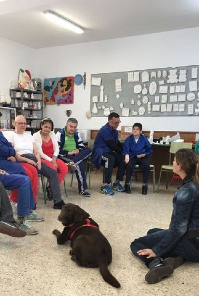 Programa de Intervenci&oacute;n psicol&oacute;gica en el Centro Ocupacional Comarcal de Gu&iacute;a
