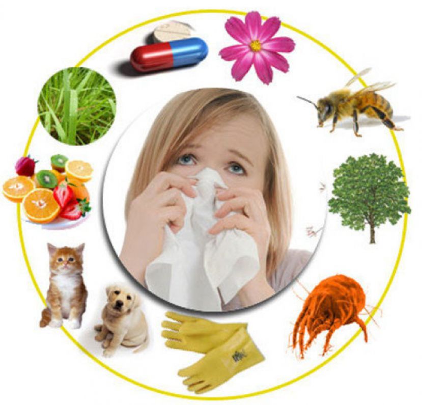 Información y consejos para alérgicos, en la primavera del coronavirus