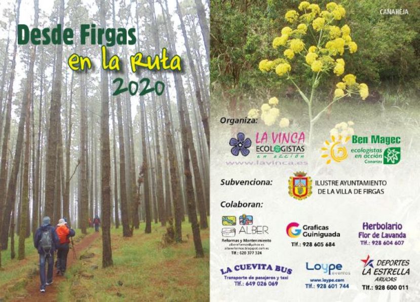 Nueva temporada del Programa de Senderismo “Desde Firgas en la Ruta 2020”