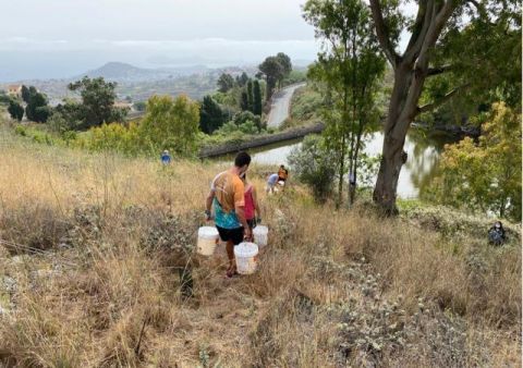 Firgas: Regados más de setecientos árboles de Laurisilva y Termófilo en la Montaña