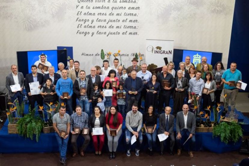Entrega de premios a los mejores quesos y vinos de Gran Canaria en el Cabildo Insular