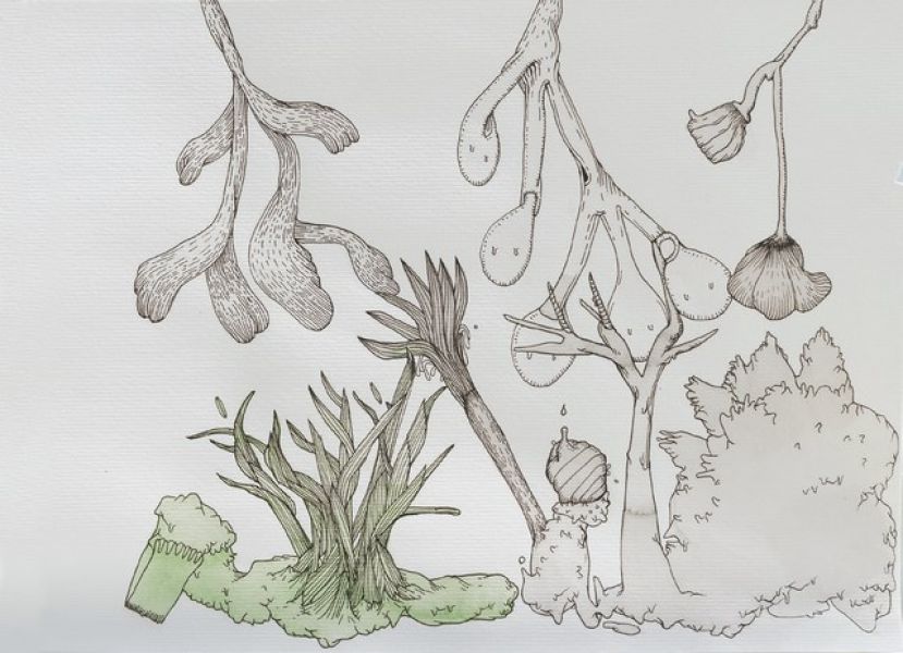 &Uacute;LTIMOS D&Iacute;AS PARA DISFRUTAR EN EL CENTRO DE ARTES PL&Aacute;STICAS DEL CABILDO DE LA MUESTRA &lsquo;HISTORIAS DE PAPEL&rsquo;