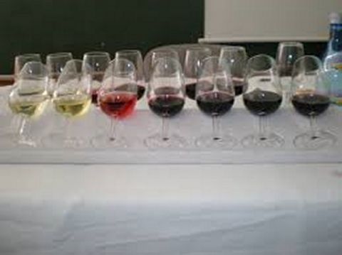 Guía: “Curso de Iniciación de Cata de Vino”