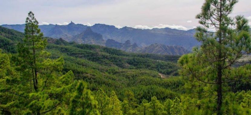 Sale a exposici&oacute;n p&uacute;blica hasta el 22 de mayo el nuevo &Oacute;rgano de Evaluaci&oacute;n Ambiental de Gran Canaria