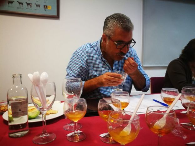 M&aacute;s de 40 apicultores compiten para alzarse con el primer premio del Concurso de Mieles de Gran Canaria