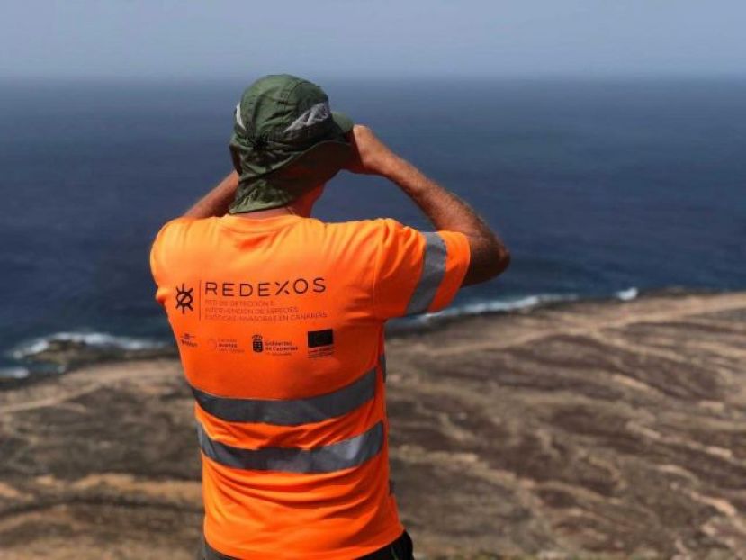 El Gobierno de Canarias mejora la aplicación móvil RedEXOS para detectar e intervenir especies exóticas