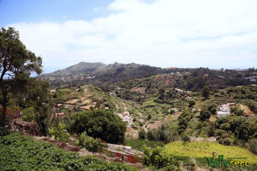 Valleseco te organiza una ruta por el oasis vegetal de las median&iacute;as de la isla
