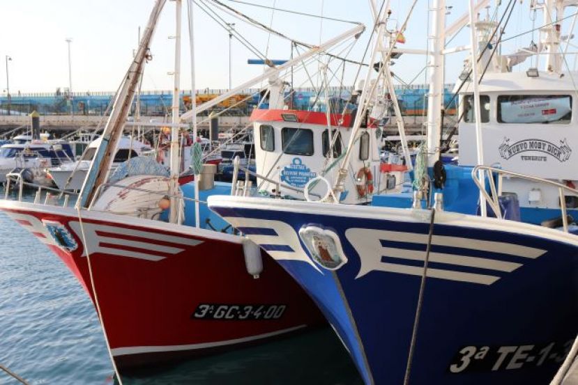 Cierre de la pesquer&iacute;a de tuna para la flota canaria artesanal