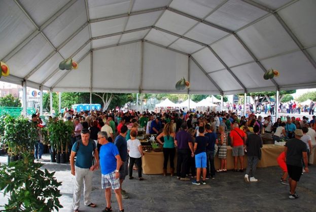 La Feria del Aguacate de Mog&aacute;n cierra su 1&ordf; edici&oacute;n con m&aacute;s de 3.000 visitantes