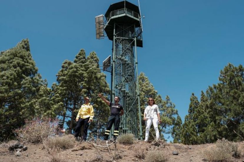 El 75% de la superficie de Gran Canaria que arras&oacute; el fuego se ha recuperado