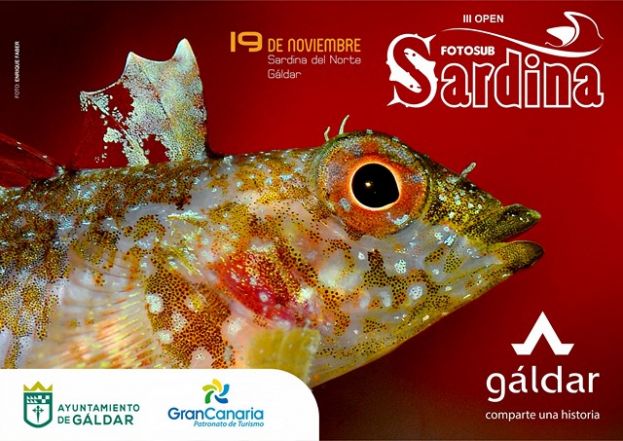 La Bah&iacute;a de Sardina de G&aacute;ldar acoger&aacute; este s&aacute;bado la 3&ordf; edici&oacute;n del Open Fotosub