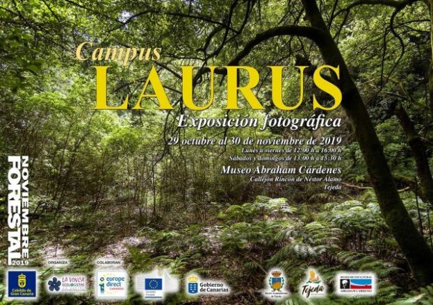 Noviembre Forestal 2019 se acerca a Tejeda con &ldquo;Campus LAURUS&rdquo;