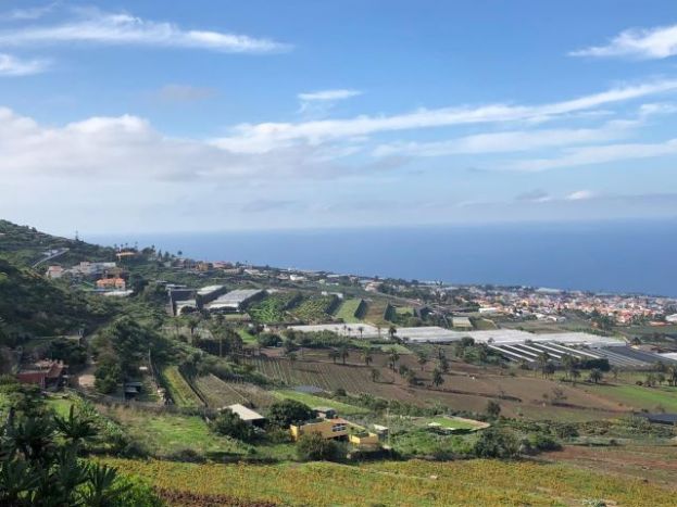 El Gobierno canario convoca ayudas para el impulso de pr&aacute;cticas agrarias sostenibles