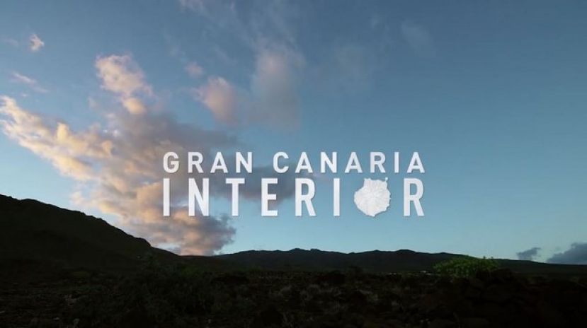 Las primeras parras se plantaron en Gran Canaria en 1507 y hasta Catalina de Rusia y Federico de Prusia brindaron con la producci&oacute;n insular