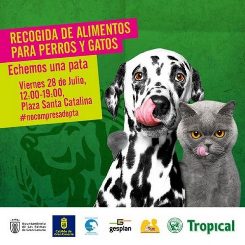 Los animales del Albergue de Gran Canaria, principales beneficiarios de la jornada solidaria &lsquo;Echemos una pata&rsquo;