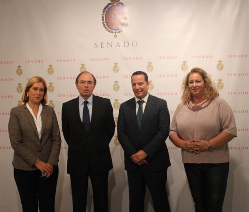 El Senado apoya la inscripci&oacute;n de Risco Ca&iacute;do como Patrimonio Mundial de la Unesco