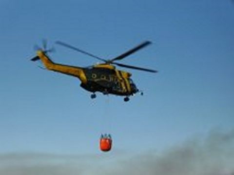 La ACEC reclama una verdadera política preventiva de incendios