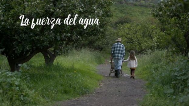 El Gobierno de Canarias pone en valor &lsquo;La fuerza del agua&rsquo;